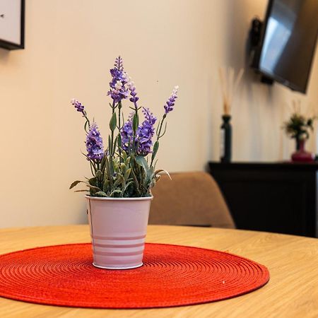Apartment Mignon 贝尔格莱德 外观 照片